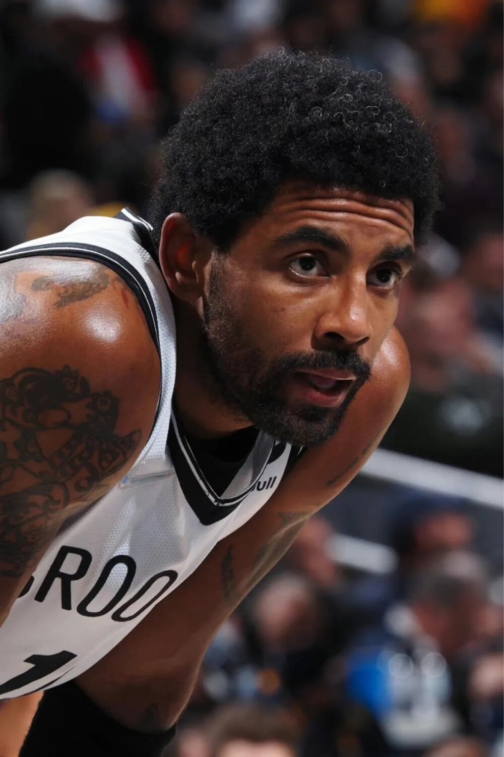 的精准判断 的精准判断