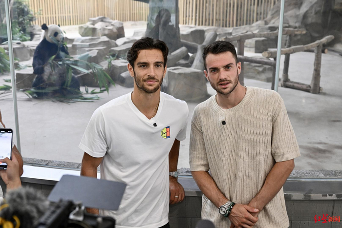 可以预见 可以预见